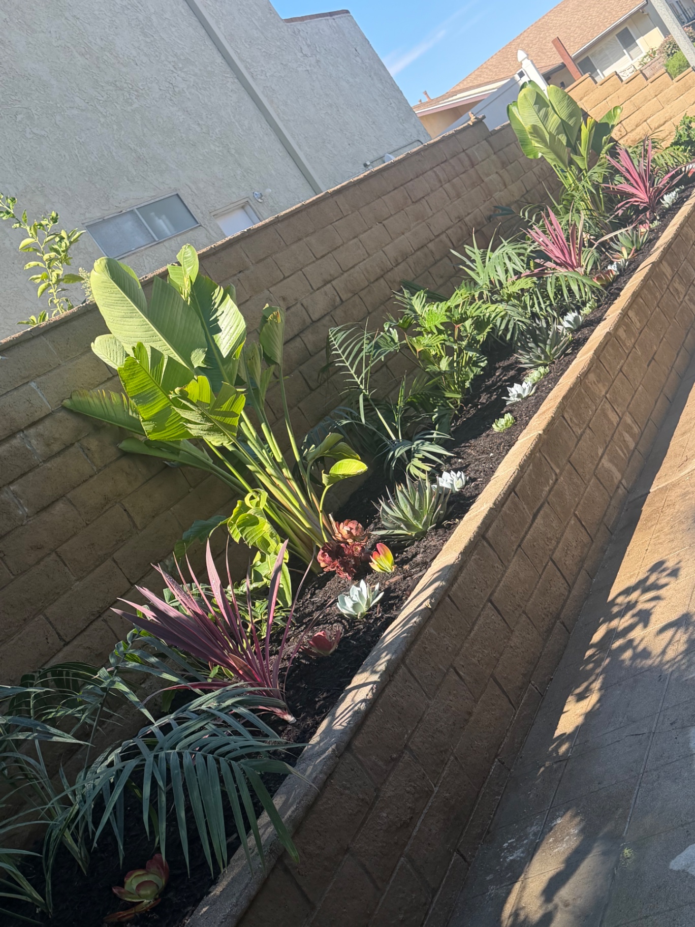Raised block planter filled with tropical plants and succulents