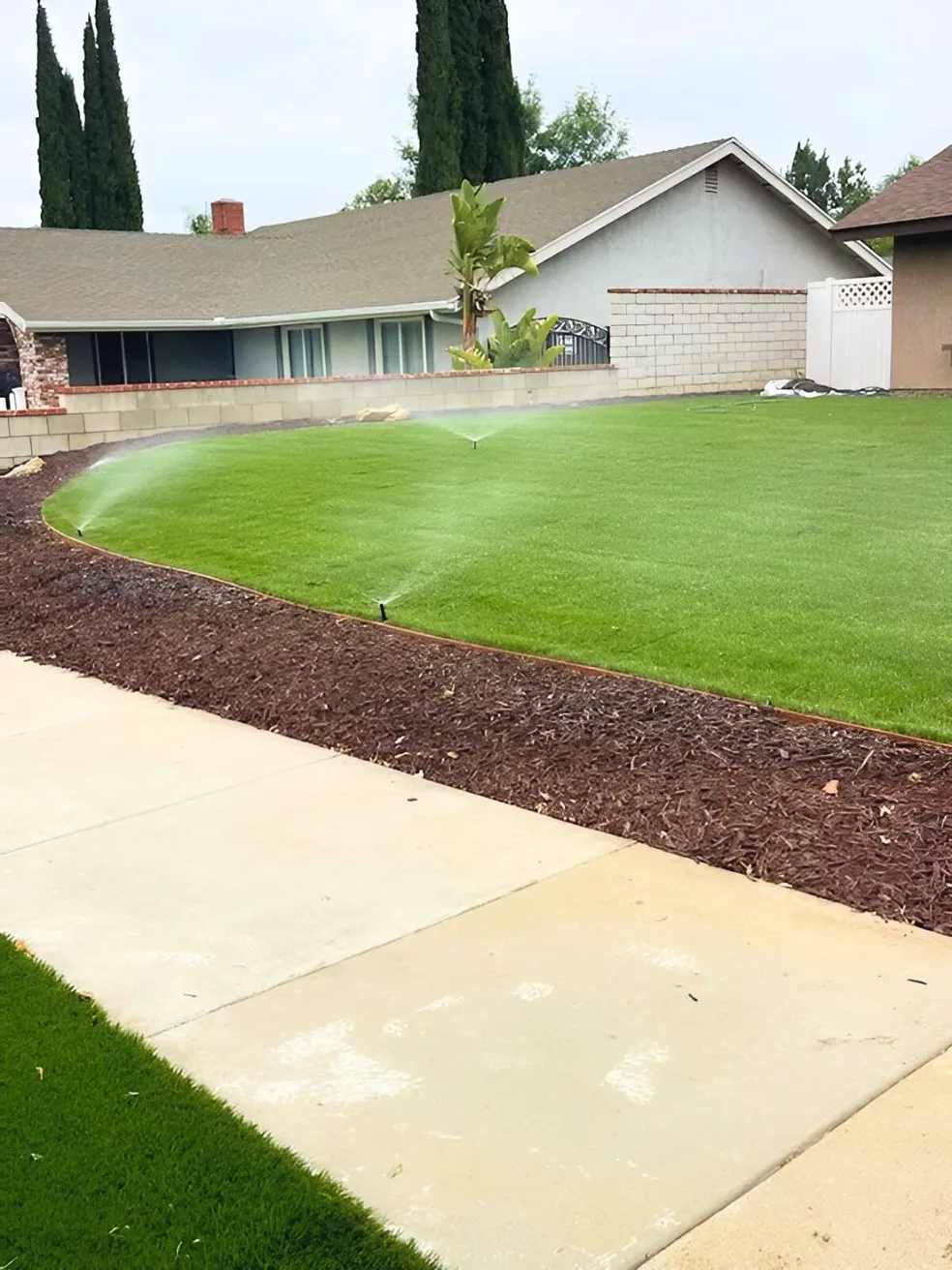 Perez Tree Service & Landscaping project 11