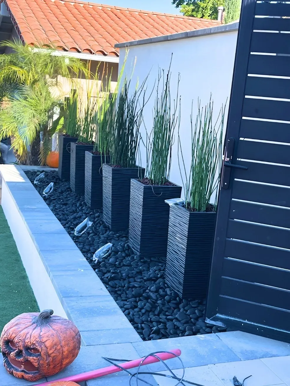 Perez Tree Service & Landscaping project 13