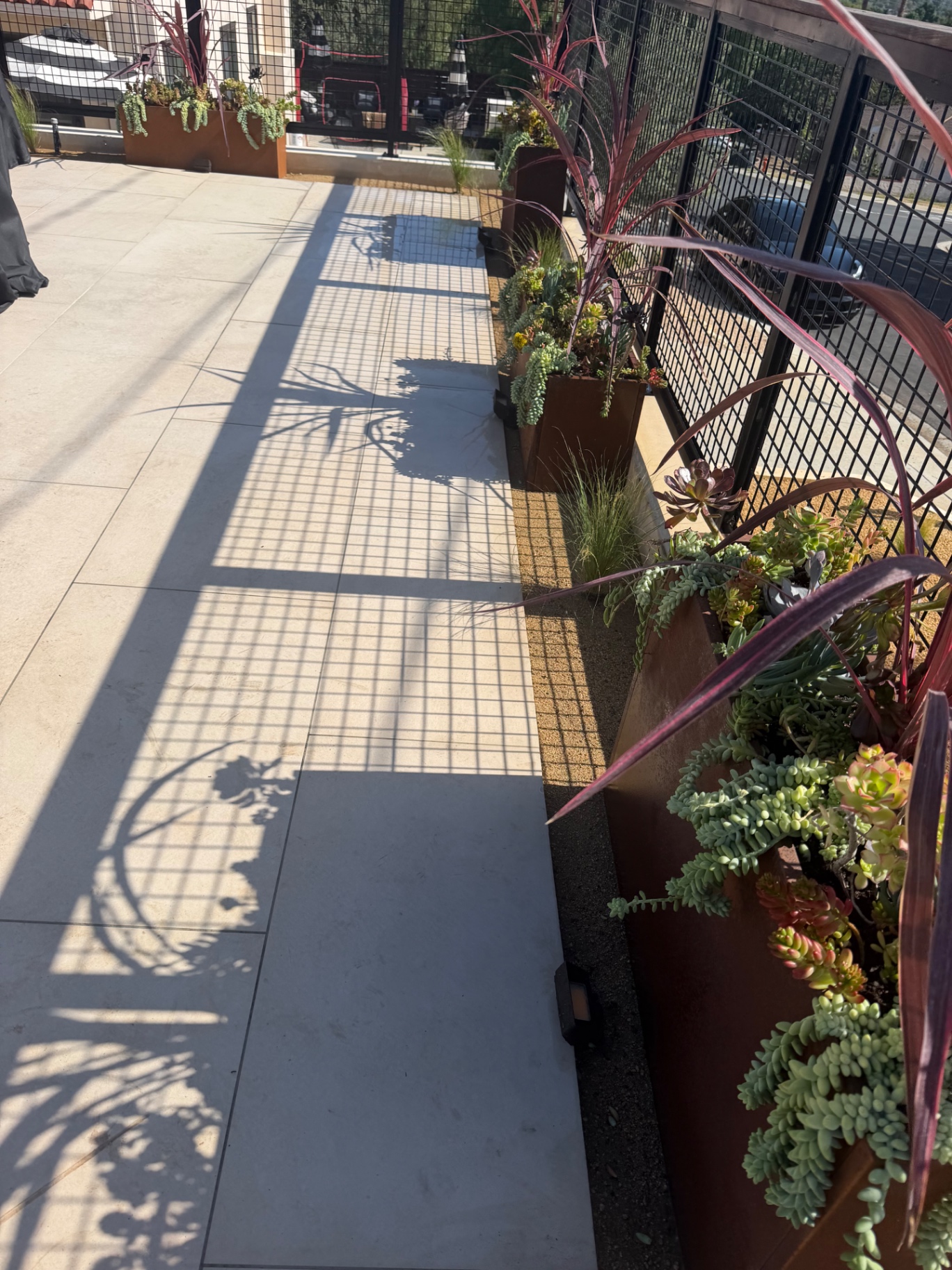 Corten steel planters with succulents along a modern patio