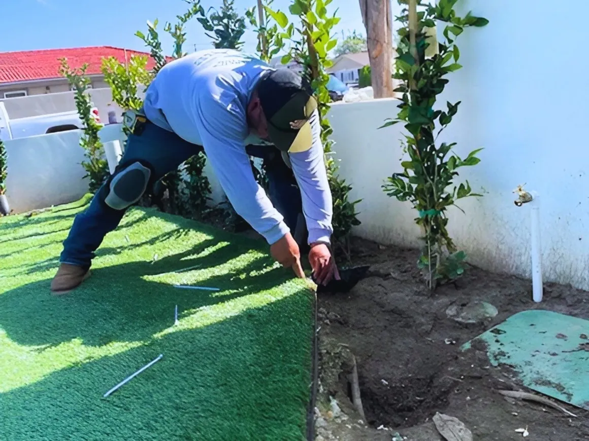 Perez landscaping project 6