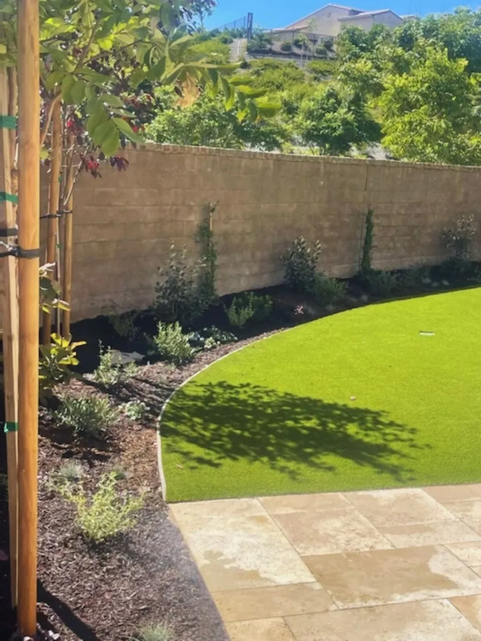 Healthy irrigated green lawn