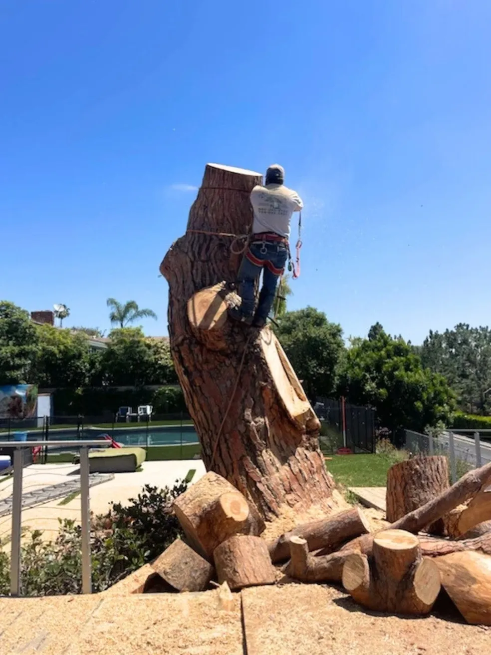 Perez landscaping project 8